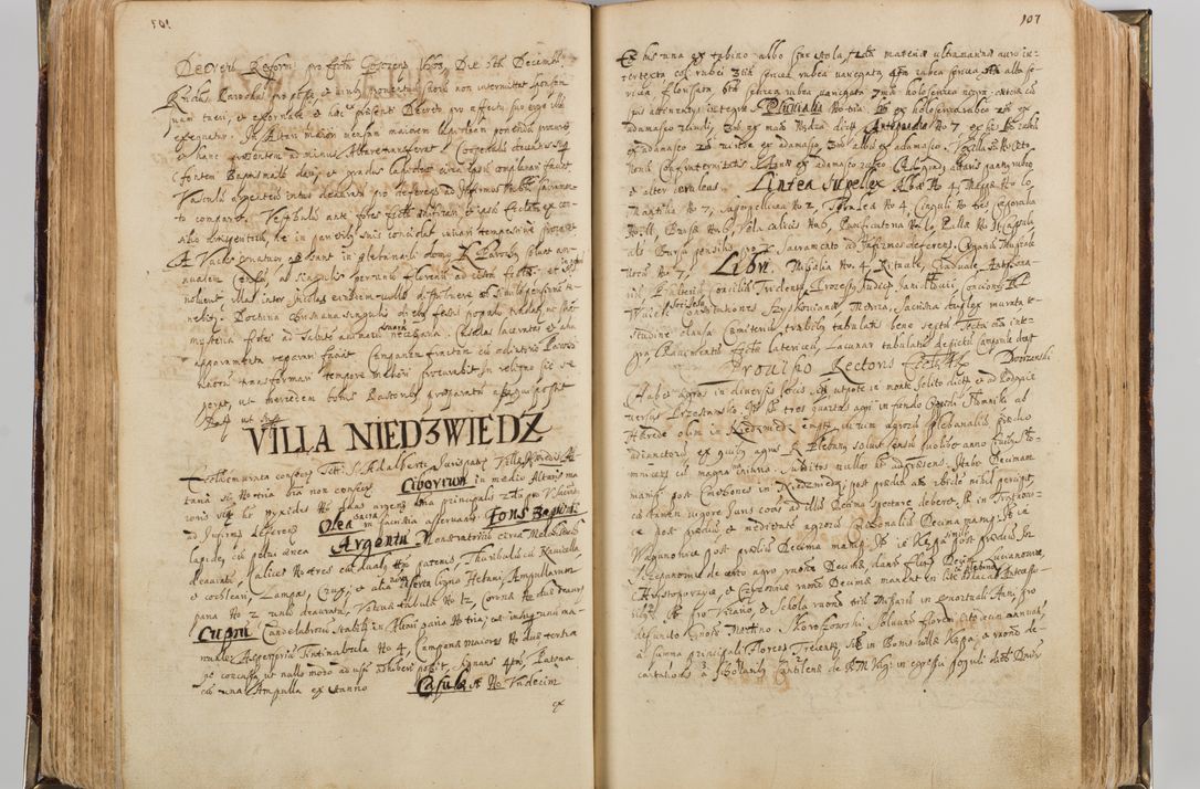 Zdjęcie nr 116 dla obiektu archiwalnego: Visitatio quindecim decanatuum, nempe: Skavinensis, Zathoriensis, Novi Montis, Skalensis, Wrocimoviensis, Adreoviensis, Kijensis, Paczanoviensis, Oswiecimensis, Żywiecensis, Witoviensis, Skoliensis, Opatovecensis, Wielicensis et Plesnensis a Peril. et R.D. Nicolao Oborski, episcopo Laodicensis, suffraganeo, archidiacono, vicario in spiritualibus generali Cracoviensi in annis 1663 - 1665 expedita
