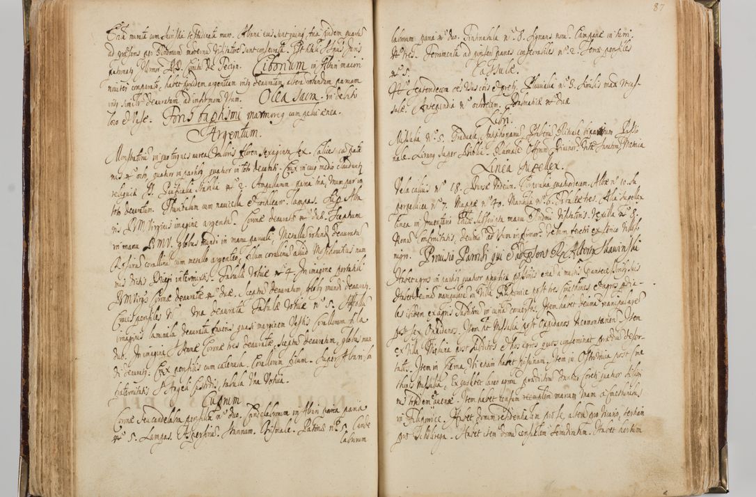 Zdjęcie nr 97 dla obiektu archiwalnego: Visitatio quindecim decanatuum, nempe: Skavinensis, Zathoriensis, Novi Montis, Skalensis, Wrocimoviensis, Adreoviensis, Kijensis, Paczanoviensis, Oswiecimensis, Żywiecensis, Witoviensis, Skoliensis, Opatovecensis, Wielicensis et Plesnensis a Peril. et R.D. Nicolao Oborski, episcopo Laodicensis, suffraganeo, archidiacono, vicario in spiritualibus generali Cracoviensi in annis 1663 - 1665 expedita