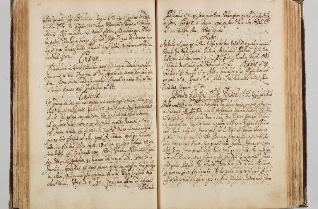 Zdjęcie nr 84 dla obiektu archiwalnego: Visitatio quindecim decanatuum, nempe: Skavinensis, Zathoriensis, Novi Montis, Skalensis, Wrocimoviensis, Adreoviensis, Kijensis, Paczanoviensis, Oswiecimensis, Żywiecensis, Witoviensis, Skoliensis, Opatovecensis, Wielicensis et Plesnensis a Peril. et R.D. Nicolao Oborski, episcopo Laodicensis, suffraganeo, archidiacono, vicario in spiritualibus generali Cracoviensi in annis 1663 - 1665 expedita