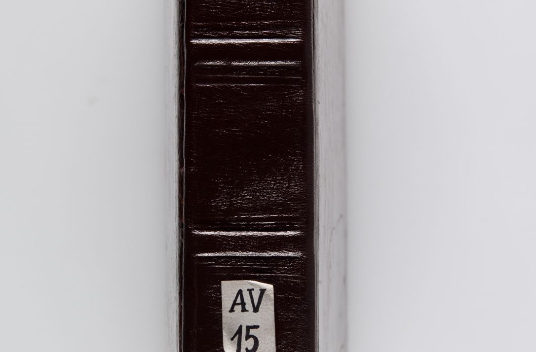 Zdjęcie nr 5 dla obiektu archiwalnego: Acta visitationum decanatuum: Wielicensis ex anno 1703, Novi Montis ex anno 1704 et Scavinensis ex anno 1704 sub generali administratione R.D. Casimiri a Łubna Łubiński, episcoi Heracleensis, suffraganei, canonici sede vacante episcopatus Cracoviensis et ducatus Severiensis, a R.D. Remigio Suszycki IUD, archidiacono Cracoviensi, custode Kielcensi, scholastico Lanciciensi, SRM secretario a.D. 1703 et 1704 expedita