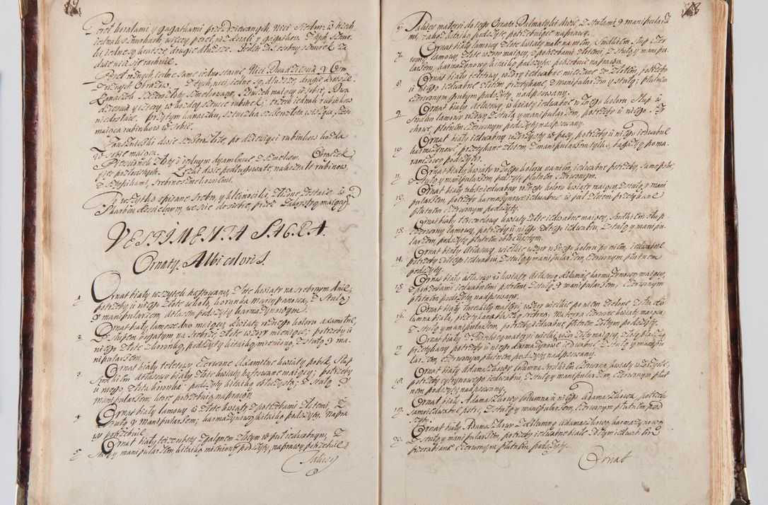 Zdjęcie nr 14 dla obiektu archiwalnego: Acta visitationum decanatuum: Wielicensis ex anno 1703, Novi Montis ex anno 1704 et Scavinensis ex anno 1704 sub generali administratione R.D. Casimiri a Łubna Łubiński, episcoi Heracleensis, suffraganei, canonici sede vacante episcopatus Cracoviensis et ducatus Severiensis, a R.D. Remigio Suszycki IUD, archidiacono Cracoviensi, custode Kielcensi, scholastico Lanciciensi, SRM secretario a.D. 1703 et 1704 expedita