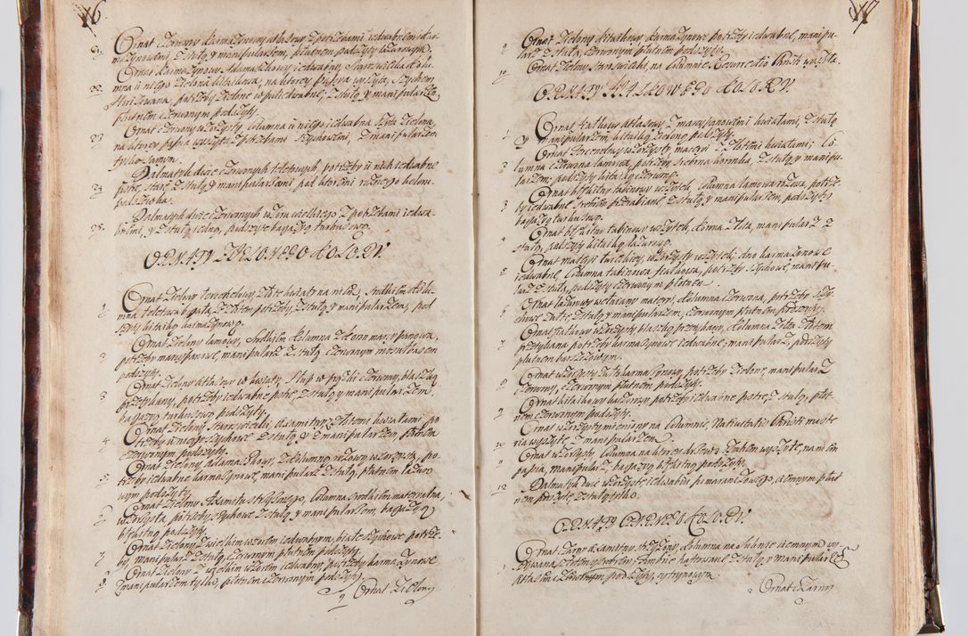 Zdjęcie nr 16 dla obiektu archiwalnego: Acta visitationum decanatuum: Wielicensis ex anno 1703, Novi Montis ex anno 1704 et Scavinensis ex anno 1704 sub generali administratione R.D. Casimiri a Łubna Łubiński, episcoi Heracleensis, suffraganei, canonici sede vacante episcopatus Cracoviensis et ducatus Severiensis, a R.D. Remigio Suszycki IUD, archidiacono Cracoviensi, custode Kielcensi, scholastico Lanciciensi, SRM secretario a.D. 1703 et 1704 expedita