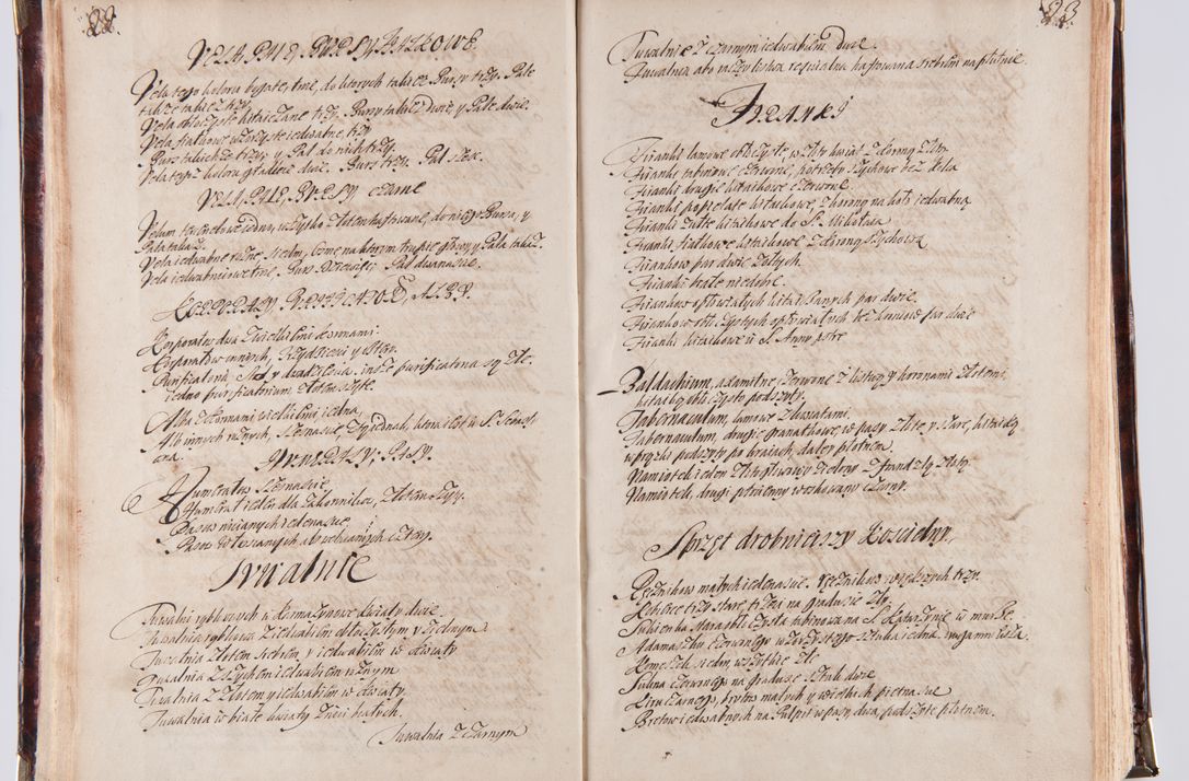 Zdjęcie nr 19 dla obiektu archiwalnego: Acta visitationum decanatuum: Wielicensis ex anno 1703, Novi Montis ex anno 1704 et Scavinensis ex anno 1704 sub generali administratione R.D. Casimiri a Łubna Łubiński, episcoi Heracleensis, suffraganei, canonici sede vacante episcopatus Cracoviensis et ducatus Severiensis, a R.D. Remigio Suszycki IUD, archidiacono Cracoviensi, custode Kielcensi, scholastico Lanciciensi, SRM secretario a.D. 1703 et 1704 expedita