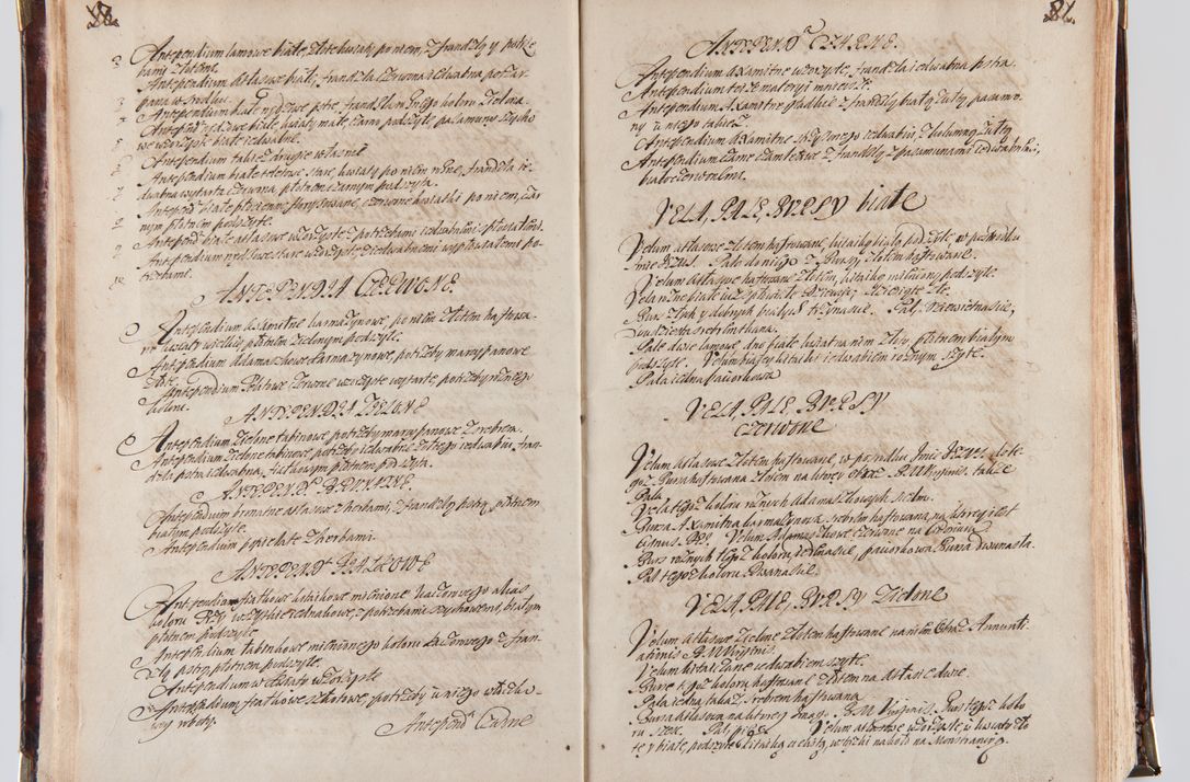 Zdjęcie nr 18 dla obiektu archiwalnego: Acta visitationum decanatuum: Wielicensis ex anno 1703, Novi Montis ex anno 1704 et Scavinensis ex anno 1704 sub generali administratione R.D. Casimiri a Łubna Łubiński, episcoi Heracleensis, suffraganei, canonici sede vacante episcopatus Cracoviensis et ducatus Severiensis, a R.D. Remigio Suszycki IUD, archidiacono Cracoviensi, custode Kielcensi, scholastico Lanciciensi, SRM secretario a.D. 1703 et 1704 expedita