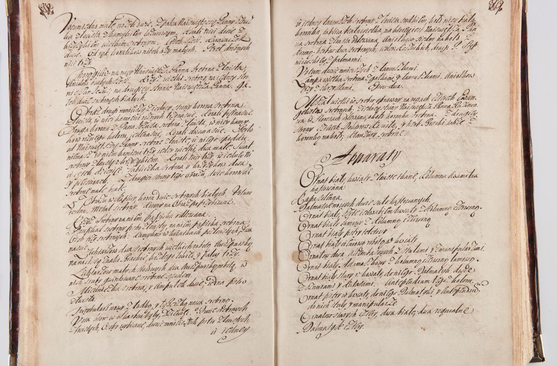 Zdjęcie nr 22 dla obiektu archiwalnego: Acta visitationum decanatuum: Wielicensis ex anno 1703, Novi Montis ex anno 1704 et Scavinensis ex anno 1704 sub generali administratione R.D. Casimiri a Łubna Łubiński, episcoi Heracleensis, suffraganei, canonici sede vacante episcopatus Cracoviensis et ducatus Severiensis, a R.D. Remigio Suszycki IUD, archidiacono Cracoviensi, custode Kielcensi, scholastico Lanciciensi, SRM secretario a.D. 1703 et 1704 expedita