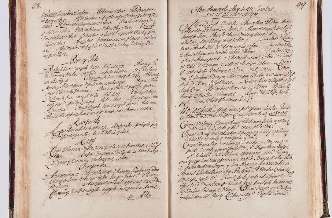 Zdjęcie nr 38 dla obiektu archiwalnego: Acta visitationum decanatuum: Wielicensis ex anno 1703, Novi Montis ex anno 1704 et Scavinensis ex anno 1704 sub generali administratione R.D. Casimiri a Łubna Łubiński, episcoi Heracleensis, suffraganei, canonici sede vacante episcopatus Cracoviensis et ducatus Severiensis, a R.D. Remigio Suszycki IUD, archidiacono Cracoviensi, custode Kielcensi, scholastico Lanciciensi, SRM secretario a.D. 1703 et 1704 expedita