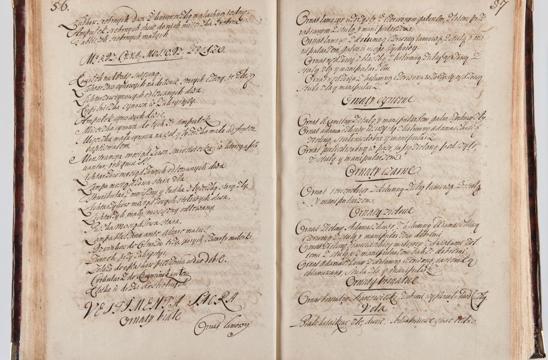 Zdjęcie nr 37 dla obiektu archiwalnego: Acta visitationum decanatuum: Wielicensis ex anno 1703, Novi Montis ex anno 1704 et Scavinensis ex anno 1704 sub generali administratione R.D. Casimiri a Łubna Łubiński, episcoi Heracleensis, suffraganei, canonici sede vacante episcopatus Cracoviensis et ducatus Severiensis, a R.D. Remigio Suszycki IUD, archidiacono Cracoviensi, custode Kielcensi, scholastico Lanciciensi, SRM secretario a.D. 1703 et 1704 expedita