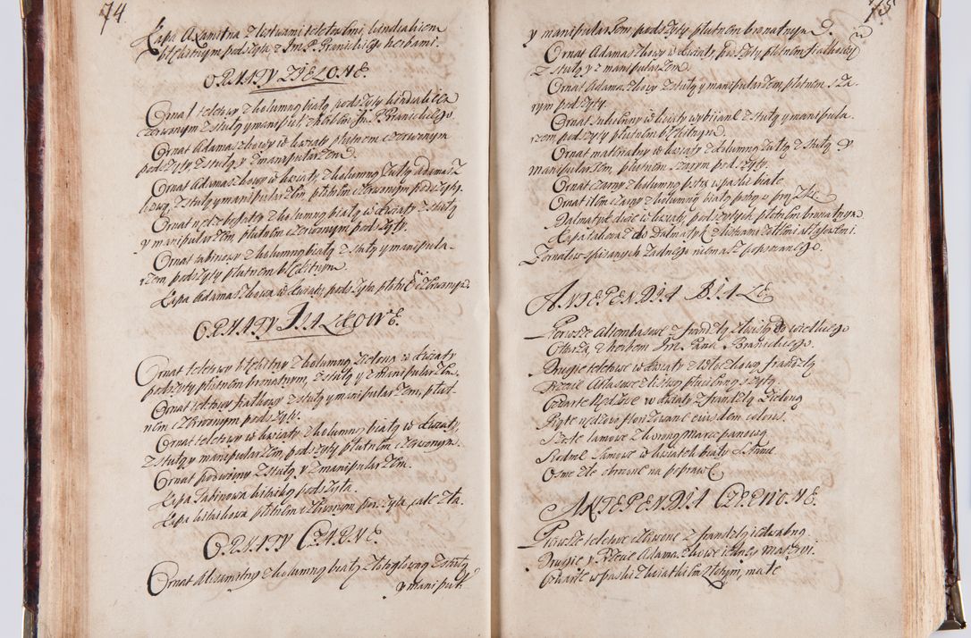 Zdjęcie nr 46 dla obiektu archiwalnego: Acta visitationum decanatuum: Wielicensis ex anno 1703, Novi Montis ex anno 1704 et Scavinensis ex anno 1704 sub generali administratione R.D. Casimiri a Łubna Łubiński, episcoi Heracleensis, suffraganei, canonici sede vacante episcopatus Cracoviensis et ducatus Severiensis, a R.D. Remigio Suszycki IUD, archidiacono Cracoviensi, custode Kielcensi, scholastico Lanciciensi, SRM secretario a.D. 1703 et 1704 expedita