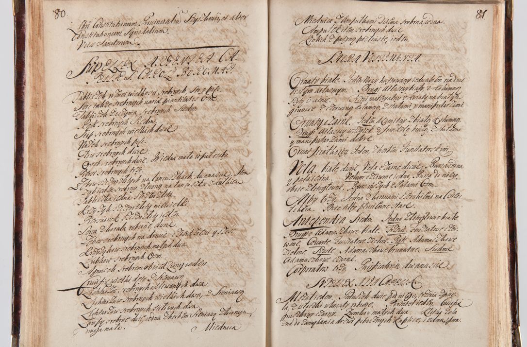 Zdjęcie nr 50 dla obiektu archiwalnego: Acta visitationum decanatuum: Wielicensis ex anno 1703, Novi Montis ex anno 1704 et Scavinensis ex anno 1704 sub generali administratione R.D. Casimiri a Łubna Łubiński, episcoi Heracleensis, suffraganei, canonici sede vacante episcopatus Cracoviensis et ducatus Severiensis, a R.D. Remigio Suszycki IUD, archidiacono Cracoviensi, custode Kielcensi, scholastico Lanciciensi, SRM secretario a.D. 1703 et 1704 expedita
