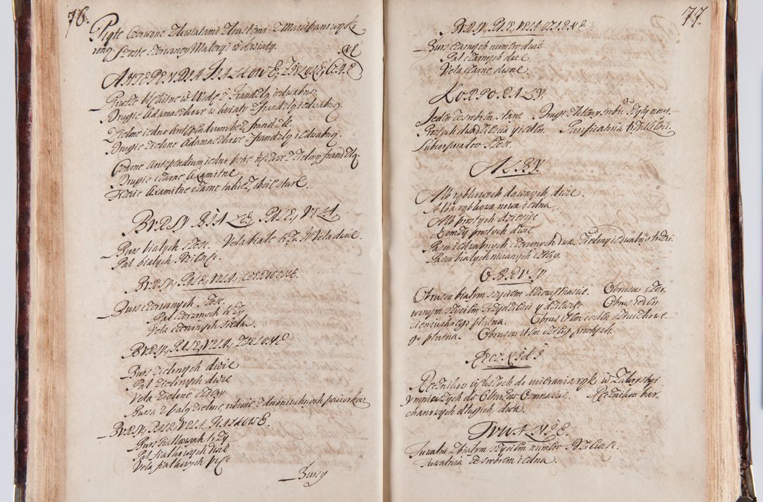 Zdjęcie nr 47 dla obiektu archiwalnego: Acta visitationum decanatuum: Wielicensis ex anno 1703, Novi Montis ex anno 1704 et Scavinensis ex anno 1704 sub generali administratione R.D. Casimiri a Łubna Łubiński, episcoi Heracleensis, suffraganei, canonici sede vacante episcopatus Cracoviensis et ducatus Severiensis, a R.D. Remigio Suszycki IUD, archidiacono Cracoviensi, custode Kielcensi, scholastico Lanciciensi, SRM secretario a.D. 1703 et 1704 expedita