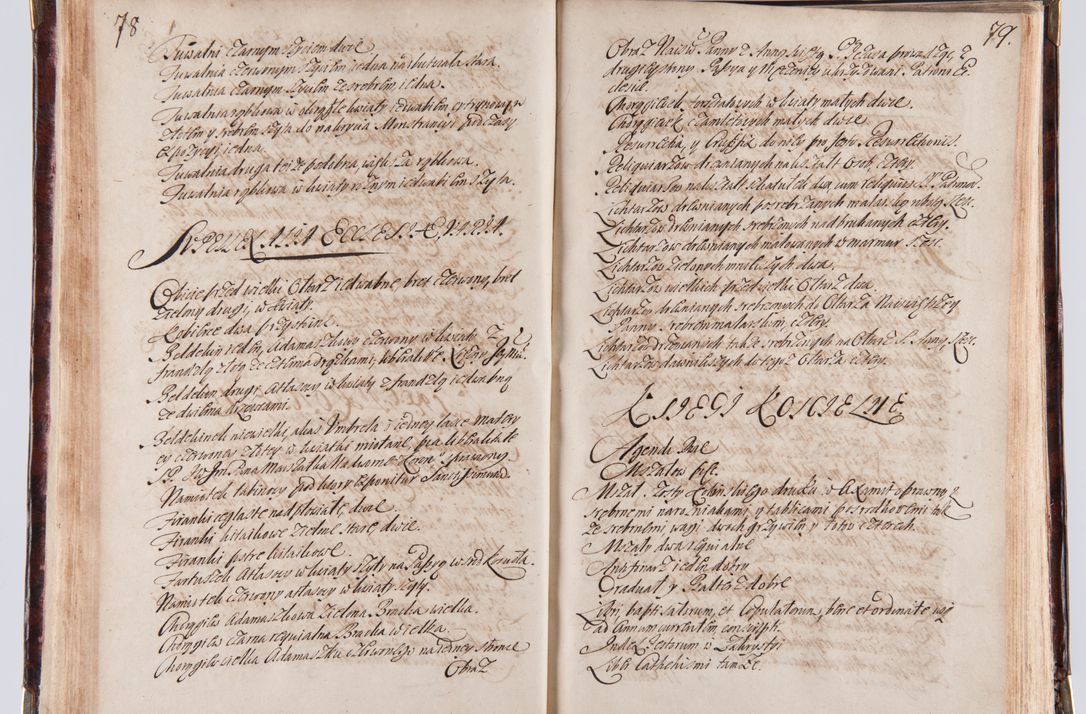 Zdjęcie nr 49 dla obiektu archiwalnego: Acta visitationum decanatuum: Wielicensis ex anno 1703, Novi Montis ex anno 1704 et Scavinensis ex anno 1704 sub generali administratione R.D. Casimiri a Łubna Łubiński, episcoi Heracleensis, suffraganei, canonici sede vacante episcopatus Cracoviensis et ducatus Severiensis, a R.D. Remigio Suszycki IUD, archidiacono Cracoviensi, custode Kielcensi, scholastico Lanciciensi, SRM secretario a.D. 1703 et 1704 expedita