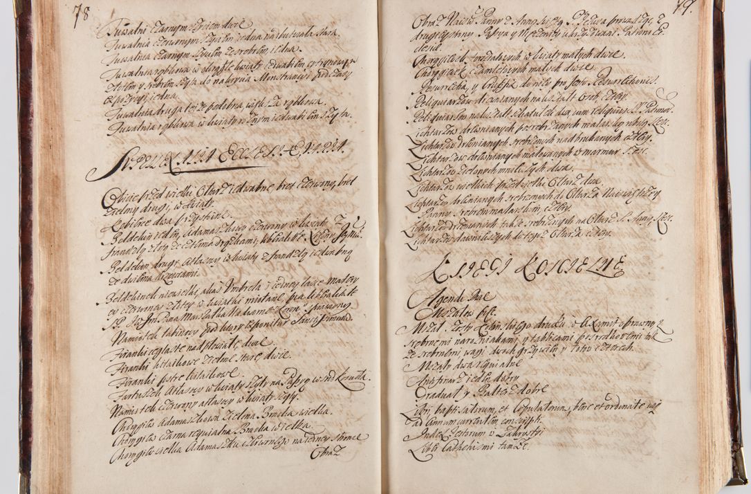 Zdjęcie nr 48 dla obiektu archiwalnego: Acta visitationum decanatuum: Wielicensis ex anno 1703, Novi Montis ex anno 1704 et Scavinensis ex anno 1704 sub generali administratione R.D. Casimiri a Łubna Łubiński, episcoi Heracleensis, suffraganei, canonici sede vacante episcopatus Cracoviensis et ducatus Severiensis, a R.D. Remigio Suszycki IUD, archidiacono Cracoviensi, custode Kielcensi, scholastico Lanciciensi, SRM secretario a.D. 1703 et 1704 expedita