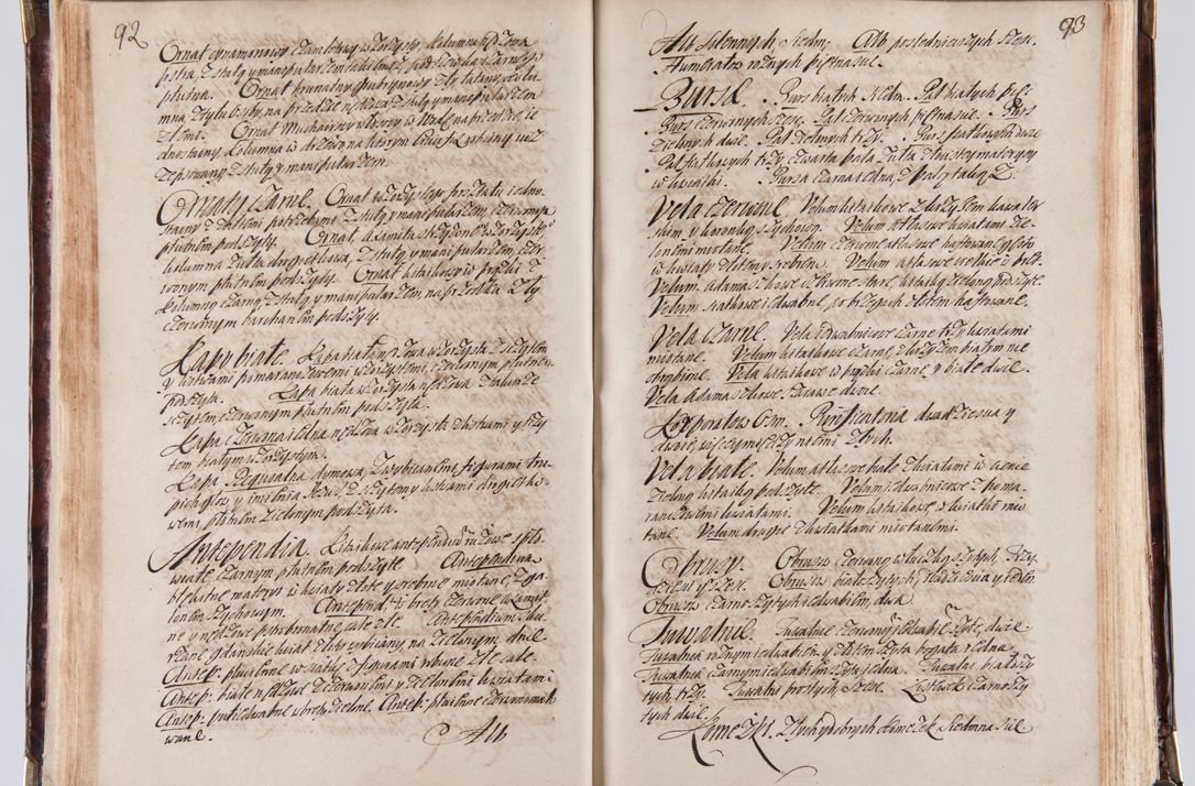 Zdjęcie nr 56 dla obiektu archiwalnego: Acta visitationum decanatuum: Wielicensis ex anno 1703, Novi Montis ex anno 1704 et Scavinensis ex anno 1704 sub generali administratione R.D. Casimiri a Łubna Łubiński, episcoi Heracleensis, suffraganei, canonici sede vacante episcopatus Cracoviensis et ducatus Severiensis, a R.D. Remigio Suszycki IUD, archidiacono Cracoviensi, custode Kielcensi, scholastico Lanciciensi, SRM secretario a.D. 1703 et 1704 expedita