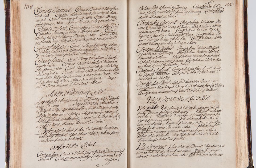 Zdjęcie nr 62 dla obiektu archiwalnego: Acta visitationum decanatuum: Wielicensis ex anno 1703, Novi Montis ex anno 1704 et Scavinensis ex anno 1704 sub generali administratione R.D. Casimiri a Łubna Łubiński, episcoi Heracleensis, suffraganei, canonici sede vacante episcopatus Cracoviensis et ducatus Severiensis, a R.D. Remigio Suszycki IUD, archidiacono Cracoviensi, custode Kielcensi, scholastico Lanciciensi, SRM secretario a.D. 1703 et 1704 expedita