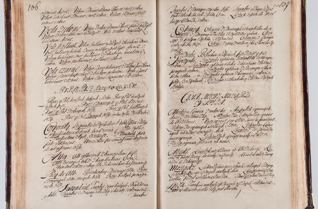 Zdjęcie nr 63 dla obiektu archiwalnego: Acta visitationum decanatuum: Wielicensis ex anno 1703, Novi Montis ex anno 1704 et Scavinensis ex anno 1704 sub generali administratione R.D. Casimiri a Łubna Łubiński, episcoi Heracleensis, suffraganei, canonici sede vacante episcopatus Cracoviensis et ducatus Severiensis, a R.D. Remigio Suszycki IUD, archidiacono Cracoviensi, custode Kielcensi, scholastico Lanciciensi, SRM secretario a.D. 1703 et 1704 expedita