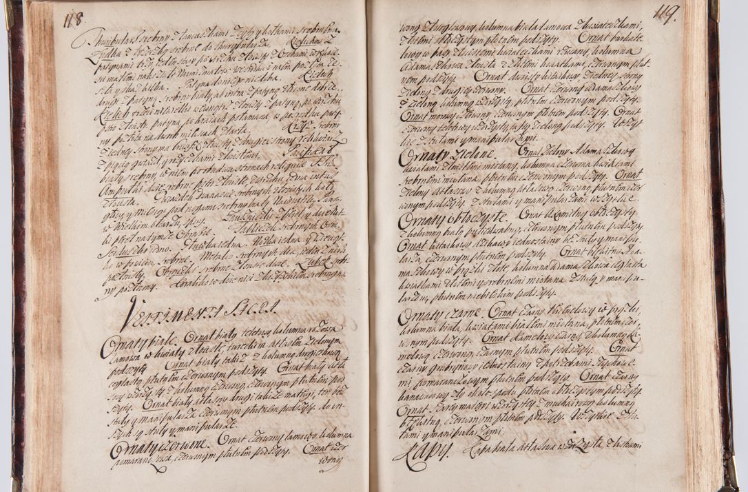 Zdjęcie nr 69 dla obiektu archiwalnego: Acta visitationum decanatuum: Wielicensis ex anno 1703, Novi Montis ex anno 1704 et Scavinensis ex anno 1704 sub generali administratione R.D. Casimiri a Łubna Łubiński, episcoi Heracleensis, suffraganei, canonici sede vacante episcopatus Cracoviensis et ducatus Severiensis, a R.D. Remigio Suszycki IUD, archidiacono Cracoviensi, custode Kielcensi, scholastico Lanciciensi, SRM secretario a.D. 1703 et 1704 expedita