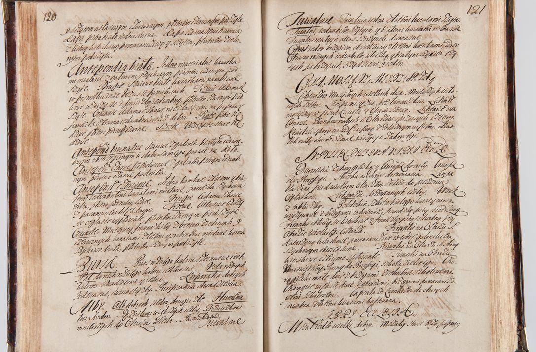 Zdjęcie nr 70 dla obiektu archiwalnego: Acta visitationum decanatuum: Wielicensis ex anno 1703, Novi Montis ex anno 1704 et Scavinensis ex anno 1704 sub generali administratione R.D. Casimiri a Łubna Łubiński, episcoi Heracleensis, suffraganei, canonici sede vacante episcopatus Cracoviensis et ducatus Severiensis, a R.D. Remigio Suszycki IUD, archidiacono Cracoviensi, custode Kielcensi, scholastico Lanciciensi, SRM secretario a.D. 1703 et 1704 expedita