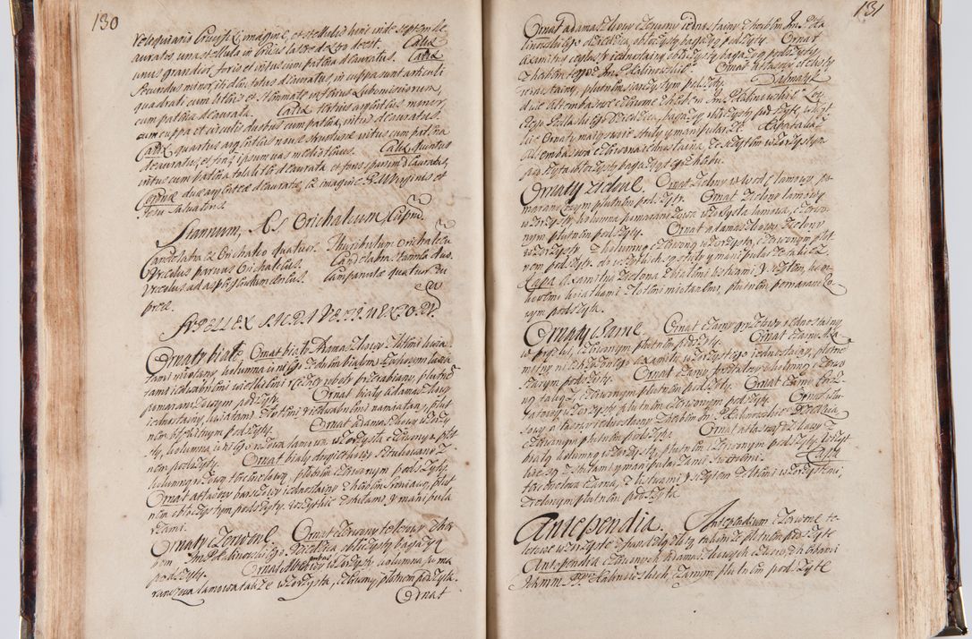 Zdjęcie nr 75 dla obiektu archiwalnego: Acta visitationum decanatuum: Wielicensis ex anno 1703, Novi Montis ex anno 1704 et Scavinensis ex anno 1704 sub generali administratione R.D. Casimiri a Łubna Łubiński, episcoi Heracleensis, suffraganei, canonici sede vacante episcopatus Cracoviensis et ducatus Severiensis, a R.D. Remigio Suszycki IUD, archidiacono Cracoviensi, custode Kielcensi, scholastico Lanciciensi, SRM secretario a.D. 1703 et 1704 expedita