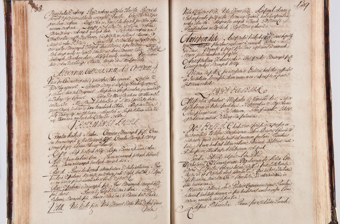 Zdjęcie nr 79 dla obiektu archiwalnego: Acta visitationum decanatuum: Wielicensis ex anno 1703, Novi Montis ex anno 1704 et Scavinensis ex anno 1704 sub generali administratione R.D. Casimiri a Łubna Łubiński, episcoi Heracleensis, suffraganei, canonici sede vacante episcopatus Cracoviensis et ducatus Severiensis, a R.D. Remigio Suszycki IUD, archidiacono Cracoviensi, custode Kielcensi, scholastico Lanciciensi, SRM secretario a.D. 1703 et 1704 expedita