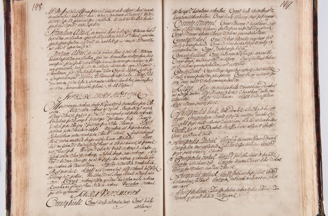 Zdjęcie nr 84 dla obiektu archiwalnego: Acta visitationum decanatuum: Wielicensis ex anno 1703, Novi Montis ex anno 1704 et Scavinensis ex anno 1704 sub generali administratione R.D. Casimiri a Łubna Łubiński, episcoi Heracleensis, suffraganei, canonici sede vacante episcopatus Cracoviensis et ducatus Severiensis, a R.D. Remigio Suszycki IUD, archidiacono Cracoviensi, custode Kielcensi, scholastico Lanciciensi, SRM secretario a.D. 1703 et 1704 expedita