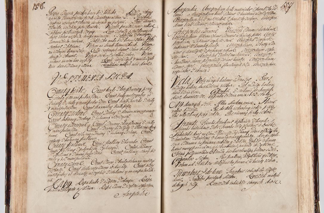Zdjęcie nr 90 dla obiektu archiwalnego: Acta visitationum decanatuum: Wielicensis ex anno 1703, Novi Montis ex anno 1704 et Scavinensis ex anno 1704 sub generali administratione R.D. Casimiri a Łubna Łubiński, episcoi Heracleensis, suffraganei, canonici sede vacante episcopatus Cracoviensis et ducatus Severiensis, a R.D. Remigio Suszycki IUD, archidiacono Cracoviensi, custode Kielcensi, scholastico Lanciciensi, SRM secretario a.D. 1703 et 1704 expedita