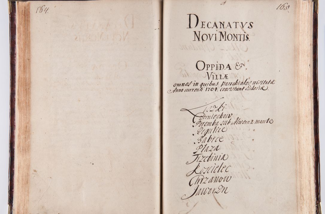 Zdjęcie nr 94 dla obiektu archiwalnego: Acta visitationum decanatuum: Wielicensis ex anno 1703, Novi Montis ex anno 1704 et Scavinensis ex anno 1704 sub generali administratione R.D. Casimiri a Łubna Łubiński, episcoi Heracleensis, suffraganei, canonici sede vacante episcopatus Cracoviensis et ducatus Severiensis, a R.D. Remigio Suszycki IUD, archidiacono Cracoviensi, custode Kielcensi, scholastico Lanciciensi, SRM secretario a.D. 1703 et 1704 expedita