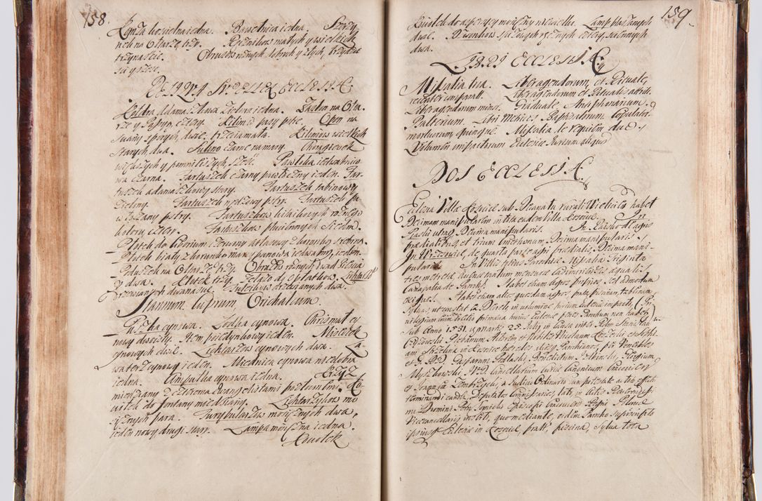 Zdjęcie nr 91 dla obiektu archiwalnego: Acta visitationum decanatuum: Wielicensis ex anno 1703, Novi Montis ex anno 1704 et Scavinensis ex anno 1704 sub generali administratione R.D. Casimiri a Łubna Łubiński, episcoi Heracleensis, suffraganei, canonici sede vacante episcopatus Cracoviensis et ducatus Severiensis, a R.D. Remigio Suszycki IUD, archidiacono Cracoviensi, custode Kielcensi, scholastico Lanciciensi, SRM secretario a.D. 1703 et 1704 expedita