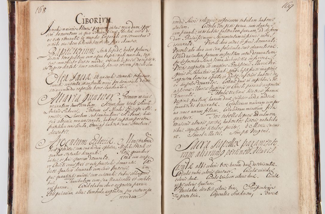 Zdjęcie nr 96 dla obiektu archiwalnego: Acta visitationum decanatuum: Wielicensis ex anno 1703, Novi Montis ex anno 1704 et Scavinensis ex anno 1704 sub generali administratione R.D. Casimiri a Łubna Łubiński, episcoi Heracleensis, suffraganei, canonici sede vacante episcopatus Cracoviensis et ducatus Severiensis, a R.D. Remigio Suszycki IUD, archidiacono Cracoviensi, custode Kielcensi, scholastico Lanciciensi, SRM secretario a.D. 1703 et 1704 expedita