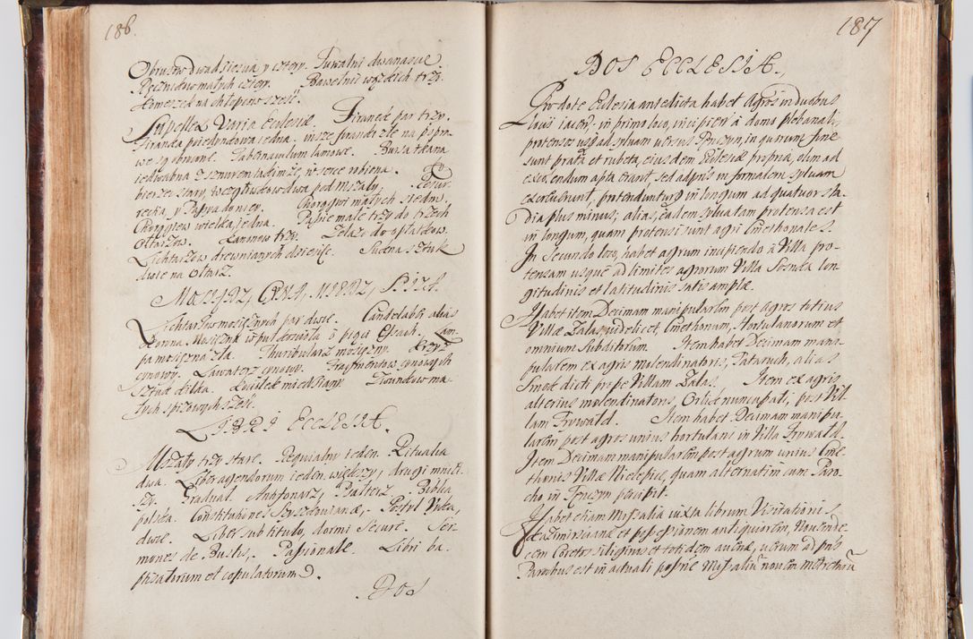 Zdjęcie nr 105 dla obiektu archiwalnego: Acta visitationum decanatuum: Wielicensis ex anno 1703, Novi Montis ex anno 1704 et Scavinensis ex anno 1704 sub generali administratione R.D. Casimiri a Łubna Łubiński, episcoi Heracleensis, suffraganei, canonici sede vacante episcopatus Cracoviensis et ducatus Severiensis, a R.D. Remigio Suszycki IUD, archidiacono Cracoviensi, custode Kielcensi, scholastico Lanciciensi, SRM secretario a.D. 1703 et 1704 expedita