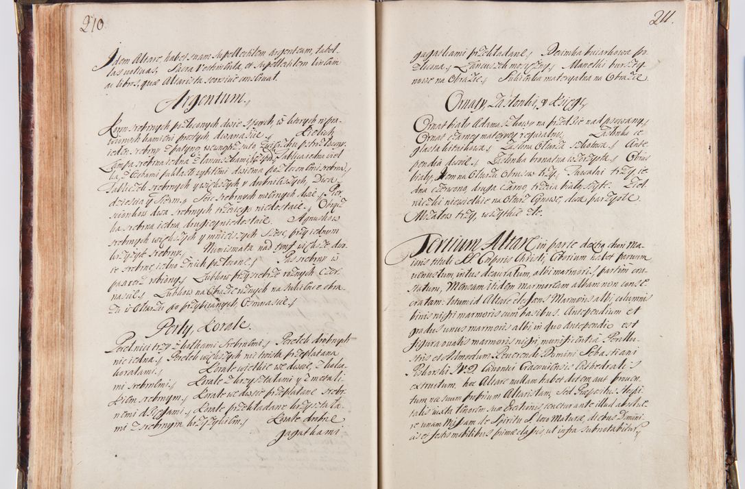 Zdjęcie nr 117 dla obiektu archiwalnego: Acta visitationum decanatuum: Wielicensis ex anno 1703, Novi Montis ex anno 1704 et Scavinensis ex anno 1704 sub generali administratione R.D. Casimiri a Łubna Łubiński, episcoi Heracleensis, suffraganei, canonici sede vacante episcopatus Cracoviensis et ducatus Severiensis, a R.D. Remigio Suszycki IUD, archidiacono Cracoviensi, custode Kielcensi, scholastico Lanciciensi, SRM secretario a.D. 1703 et 1704 expedita