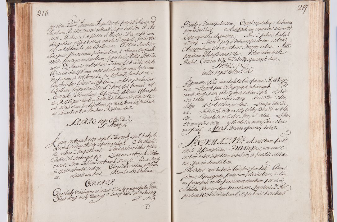 Zdjęcie nr 120 dla obiektu archiwalnego: Acta visitationum decanatuum: Wielicensis ex anno 1703, Novi Montis ex anno 1704 et Scavinensis ex anno 1704 sub generali administratione R.D. Casimiri a Łubna Łubiński, episcoi Heracleensis, suffraganei, canonici sede vacante episcopatus Cracoviensis et ducatus Severiensis, a R.D. Remigio Suszycki IUD, archidiacono Cracoviensi, custode Kielcensi, scholastico Lanciciensi, SRM secretario a.D. 1703 et 1704 expedita