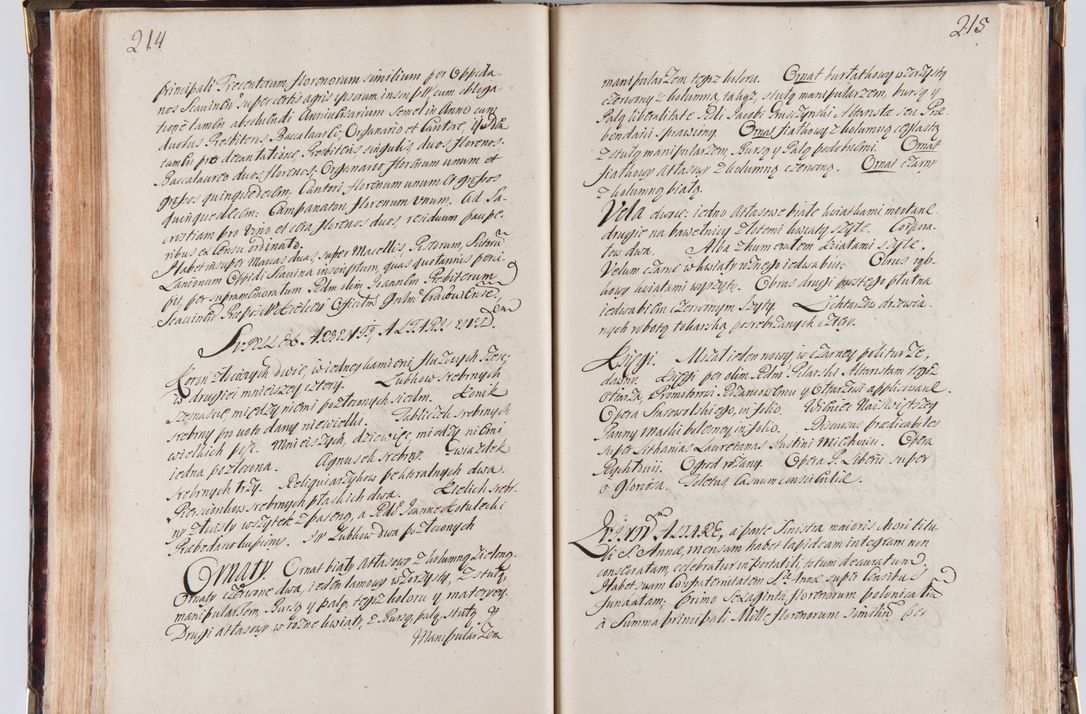 Zdjęcie nr 119 dla obiektu archiwalnego: Acta visitationum decanatuum: Wielicensis ex anno 1703, Novi Montis ex anno 1704 et Scavinensis ex anno 1704 sub generali administratione R.D. Casimiri a Łubna Łubiński, episcoi Heracleensis, suffraganei, canonici sede vacante episcopatus Cracoviensis et ducatus Severiensis, a R.D. Remigio Suszycki IUD, archidiacono Cracoviensi, custode Kielcensi, scholastico Lanciciensi, SRM secretario a.D. 1703 et 1704 expedita