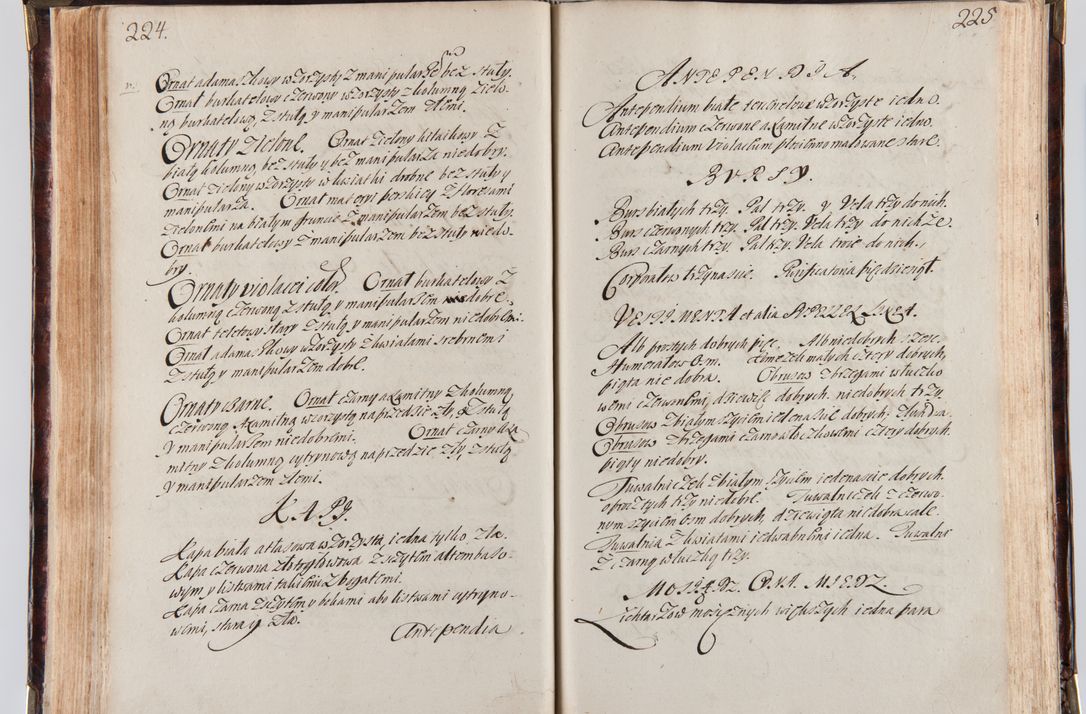 Zdjęcie nr 124 dla obiektu archiwalnego: Acta visitationum decanatuum: Wielicensis ex anno 1703, Novi Montis ex anno 1704 et Scavinensis ex anno 1704 sub generali administratione R.D. Casimiri a Łubna Łubiński, episcoi Heracleensis, suffraganei, canonici sede vacante episcopatus Cracoviensis et ducatus Severiensis, a R.D. Remigio Suszycki IUD, archidiacono Cracoviensi, custode Kielcensi, scholastico Lanciciensi, SRM secretario a.D. 1703 et 1704 expedita