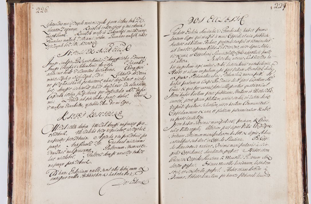 Zdjęcie nr 125 dla obiektu archiwalnego: Acta visitationum decanatuum: Wielicensis ex anno 1703, Novi Montis ex anno 1704 et Scavinensis ex anno 1704 sub generali administratione R.D. Casimiri a Łubna Łubiński, episcoi Heracleensis, suffraganei, canonici sede vacante episcopatus Cracoviensis et ducatus Severiensis, a R.D. Remigio Suszycki IUD, archidiacono Cracoviensi, custode Kielcensi, scholastico Lanciciensi, SRM secretario a.D. 1703 et 1704 expedita
