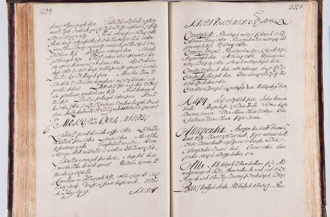 Zdjęcie nr 139 dla obiektu archiwalnego: Acta visitationum decanatuum: Wielicensis ex anno 1703, Novi Montis ex anno 1704 et Scavinensis ex anno 1704 sub generali administratione R.D. Casimiri a Łubna Łubiński, episcoi Heracleensis, suffraganei, canonici sede vacante episcopatus Cracoviensis et ducatus Severiensis, a R.D. Remigio Suszycki IUD, archidiacono Cracoviensi, custode Kielcensi, scholastico Lanciciensi, SRM secretario a.D. 1703 et 1704 expedita