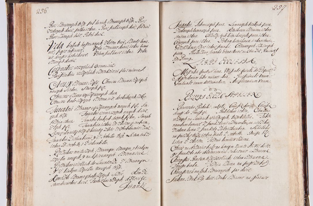 Zdjęcie nr 140 dla obiektu archiwalnego: Acta visitationum decanatuum: Wielicensis ex anno 1703, Novi Montis ex anno 1704 et Scavinensis ex anno 1704 sub generali administratione R.D. Casimiri a Łubna Łubiński, episcoi Heracleensis, suffraganei, canonici sede vacante episcopatus Cracoviensis et ducatus Severiensis, a R.D. Remigio Suszycki IUD, archidiacono Cracoviensi, custode Kielcensi, scholastico Lanciciensi, SRM secretario a.D. 1703 et 1704 expedita