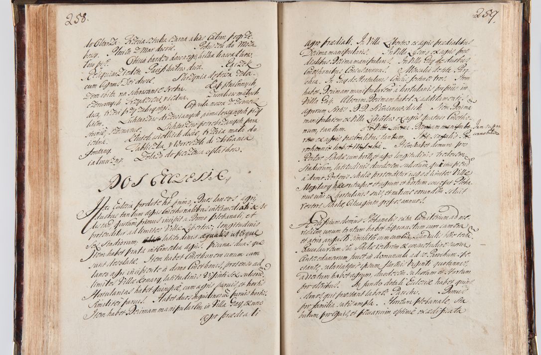 Zdjęcie nr 141 dla obiektu archiwalnego: Acta visitationum decanatuum: Wielicensis ex anno 1703, Novi Montis ex anno 1704 et Scavinensis ex anno 1704 sub generali administratione R.D. Casimiri a Łubna Łubiński, episcoi Heracleensis, suffraganei, canonici sede vacante episcopatus Cracoviensis et ducatus Severiensis, a R.D. Remigio Suszycki IUD, archidiacono Cracoviensi, custode Kielcensi, scholastico Lanciciensi, SRM secretario a.D. 1703 et 1704 expedita