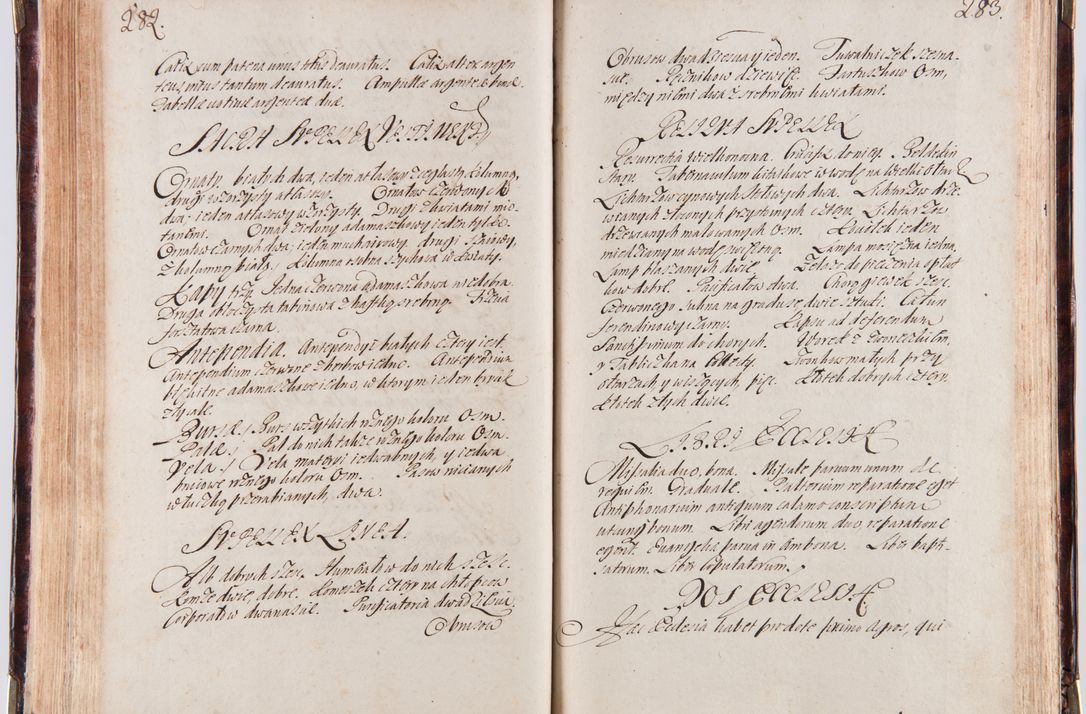 Zdjęcie nr 154 dla obiektu archiwalnego: Acta visitationum decanatuum: Wielicensis ex anno 1703, Novi Montis ex anno 1704 et Scavinensis ex anno 1704 sub generali administratione R.D. Casimiri a Łubna Łubiński, episcoi Heracleensis, suffraganei, canonici sede vacante episcopatus Cracoviensis et ducatus Severiensis, a R.D. Remigio Suszycki IUD, archidiacono Cracoviensi, custode Kielcensi, scholastico Lanciciensi, SRM secretario a.D. 1703 et 1704 expedita