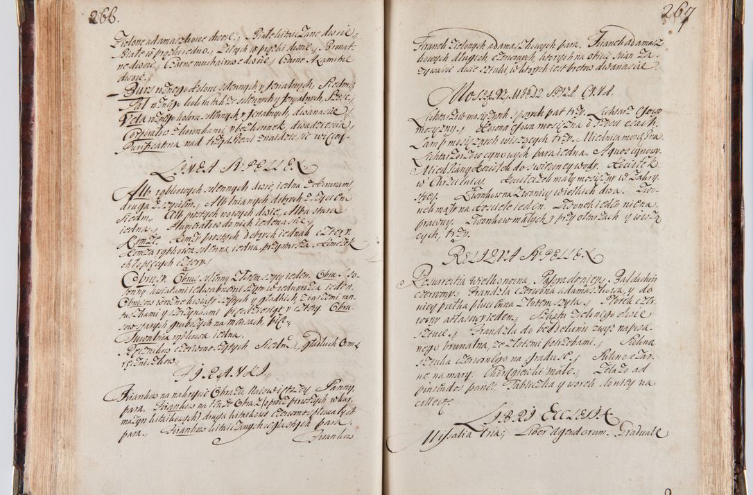 Zdjęcie nr 146 dla obiektu archiwalnego: Acta visitationum decanatuum: Wielicensis ex anno 1703, Novi Montis ex anno 1704 et Scavinensis ex anno 1704 sub generali administratione R.D. Casimiri a Łubna Łubiński, episcoi Heracleensis, suffraganei, canonici sede vacante episcopatus Cracoviensis et ducatus Severiensis, a R.D. Remigio Suszycki IUD, archidiacono Cracoviensi, custode Kielcensi, scholastico Lanciciensi, SRM secretario a.D. 1703 et 1704 expedita