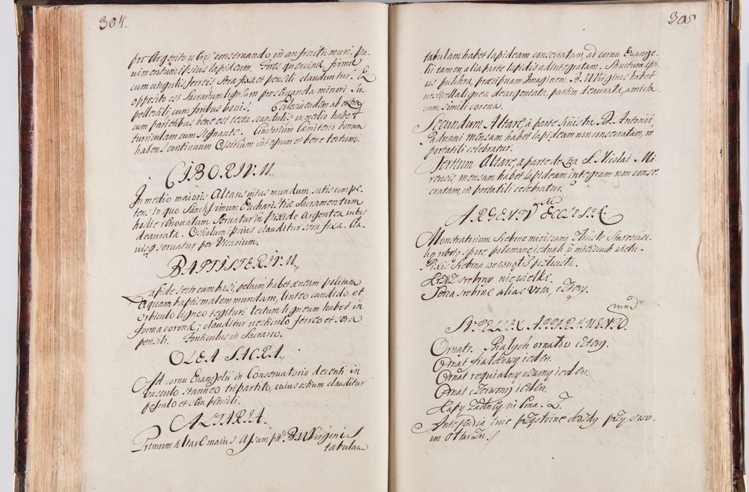 Zdjęcie nr 165 dla obiektu archiwalnego: Acta visitationum decanatuum: Wielicensis ex anno 1703, Novi Montis ex anno 1704 et Scavinensis ex anno 1704 sub generali administratione R.D. Casimiri a Łubna Łubiński, episcoi Heracleensis, suffraganei, canonici sede vacante episcopatus Cracoviensis et ducatus Severiensis, a R.D. Remigio Suszycki IUD, archidiacono Cracoviensi, custode Kielcensi, scholastico Lanciciensi, SRM secretario a.D. 1703 et 1704 expedita
