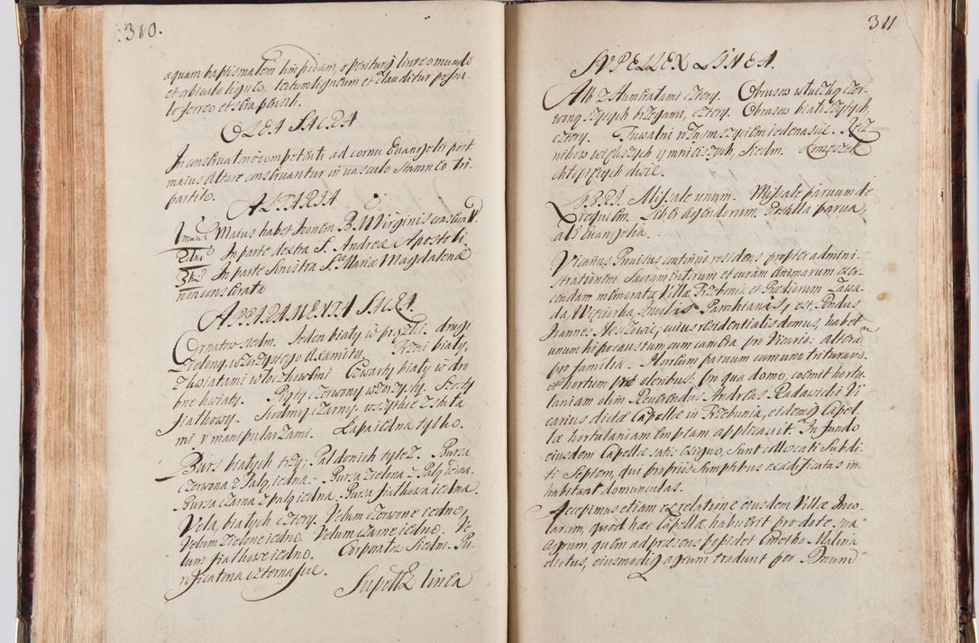 Zdjęcie nr 168 dla obiektu archiwalnego: Acta visitationum decanatuum: Wielicensis ex anno 1703, Novi Montis ex anno 1704 et Scavinensis ex anno 1704 sub generali administratione R.D. Casimiri a Łubna Łubiński, episcoi Heracleensis, suffraganei, canonici sede vacante episcopatus Cracoviensis et ducatus Severiensis, a R.D. Remigio Suszycki IUD, archidiacono Cracoviensi, custode Kielcensi, scholastico Lanciciensi, SRM secretario a.D. 1703 et 1704 expedita