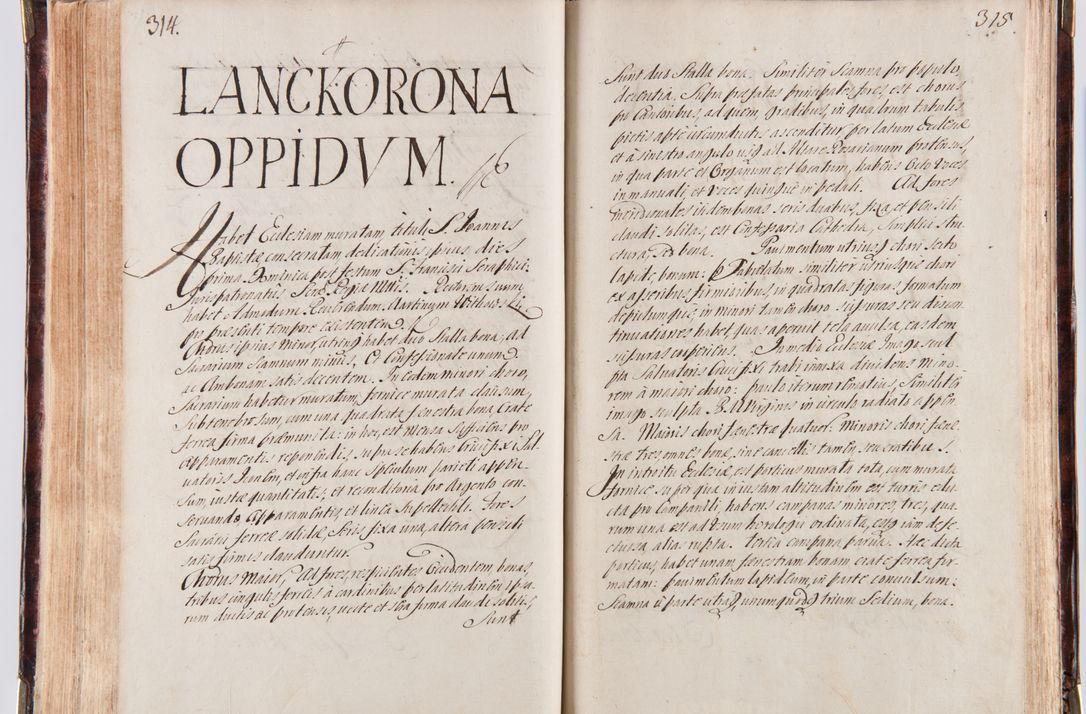 Zdjęcie nr 170 dla obiektu archiwalnego: Acta visitationum decanatuum: Wielicensis ex anno 1703, Novi Montis ex anno 1704 et Scavinensis ex anno 1704 sub generali administratione R.D. Casimiri a Łubna Łubiński, episcoi Heracleensis, suffraganei, canonici sede vacante episcopatus Cracoviensis et ducatus Severiensis, a R.D. Remigio Suszycki IUD, archidiacono Cracoviensi, custode Kielcensi, scholastico Lanciciensi, SRM secretario a.D. 1703 et 1704 expedita
