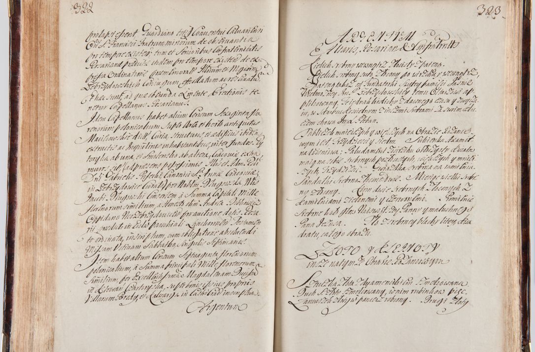 Zdjęcie nr 174 dla obiektu archiwalnego: Acta visitationum decanatuum: Wielicensis ex anno 1703, Novi Montis ex anno 1704 et Scavinensis ex anno 1704 sub generali administratione R.D. Casimiri a Łubna Łubiński, episcoi Heracleensis, suffraganei, canonici sede vacante episcopatus Cracoviensis et ducatus Severiensis, a R.D. Remigio Suszycki IUD, archidiacono Cracoviensi, custode Kielcensi, scholastico Lanciciensi, SRM secretario a.D. 1703 et 1704 expedita