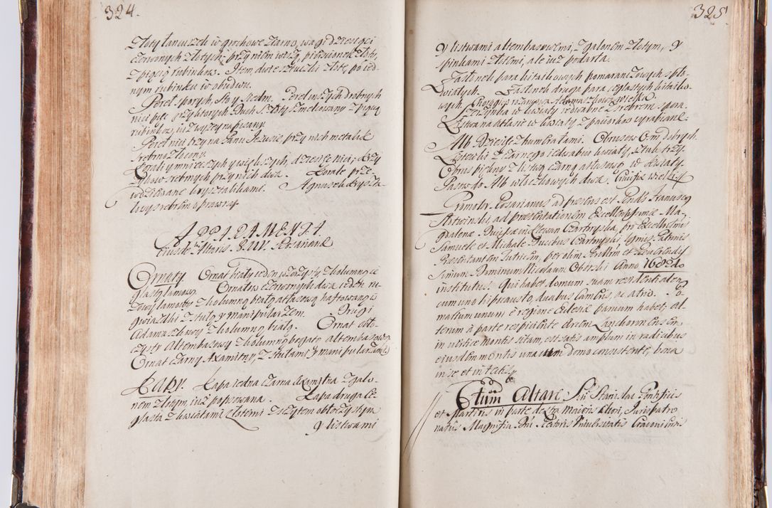 Zdjęcie nr 175 dla obiektu archiwalnego: Acta visitationum decanatuum: Wielicensis ex anno 1703, Novi Montis ex anno 1704 et Scavinensis ex anno 1704 sub generali administratione R.D. Casimiri a Łubna Łubiński, episcoi Heracleensis, suffraganei, canonici sede vacante episcopatus Cracoviensis et ducatus Severiensis, a R.D. Remigio Suszycki IUD, archidiacono Cracoviensi, custode Kielcensi, scholastico Lanciciensi, SRM secretario a.D. 1703 et 1704 expedita
