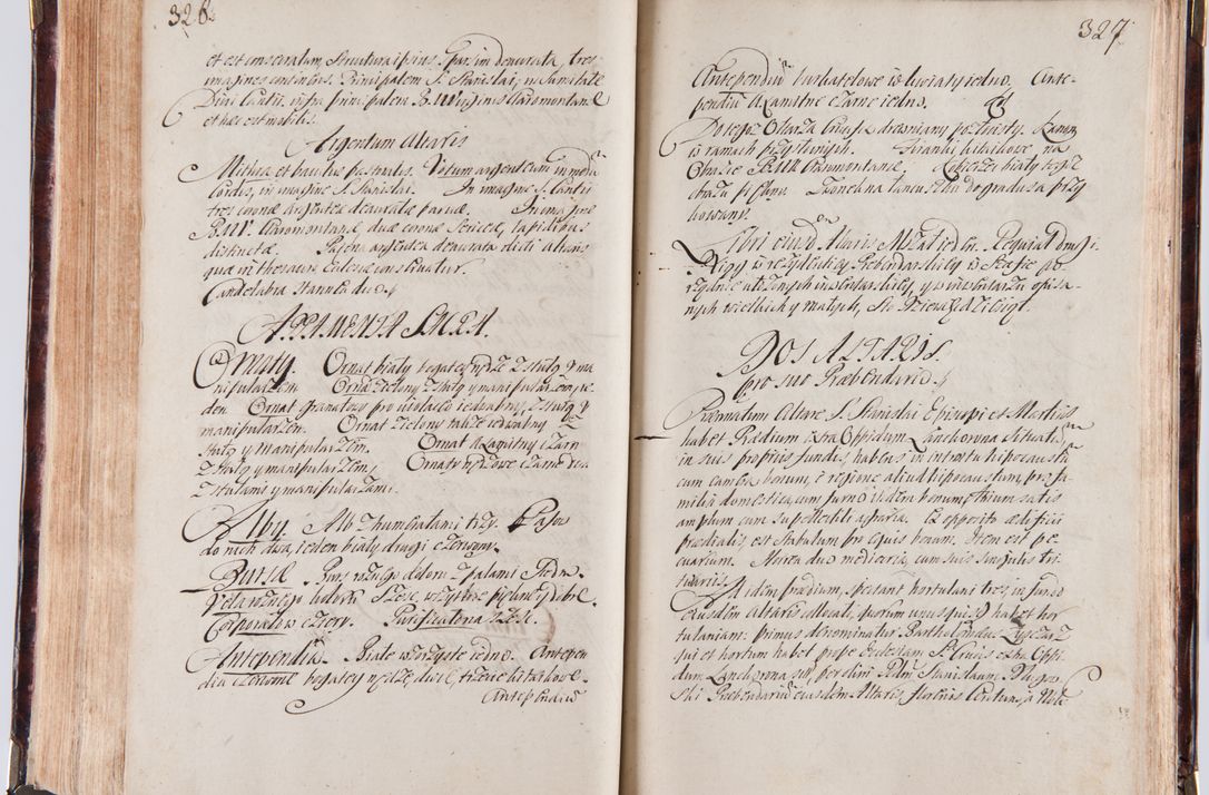 Zdjęcie nr 176 dla obiektu archiwalnego: Acta visitationum decanatuum: Wielicensis ex anno 1703, Novi Montis ex anno 1704 et Scavinensis ex anno 1704 sub generali administratione R.D. Casimiri a Łubna Łubiński, episcoi Heracleensis, suffraganei, canonici sede vacante episcopatus Cracoviensis et ducatus Severiensis, a R.D. Remigio Suszycki IUD, archidiacono Cracoviensi, custode Kielcensi, scholastico Lanciciensi, SRM secretario a.D. 1703 et 1704 expedita