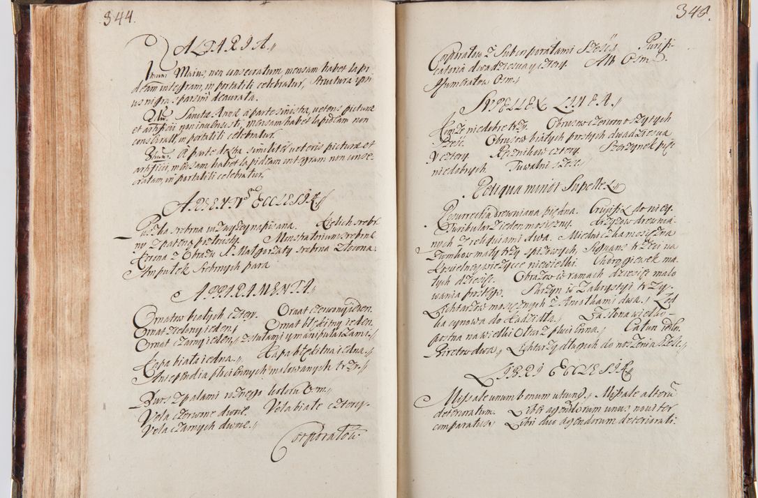 Zdjęcie nr 184 dla obiektu archiwalnego: Acta visitationum decanatuum: Wielicensis ex anno 1703, Novi Montis ex anno 1704 et Scavinensis ex anno 1704 sub generali administratione R.D. Casimiri a Łubna Łubiński, episcoi Heracleensis, suffraganei, canonici sede vacante episcopatus Cracoviensis et ducatus Severiensis, a R.D. Remigio Suszycki IUD, archidiacono Cracoviensi, custode Kielcensi, scholastico Lanciciensi, SRM secretario a.D. 1703 et 1704 expedita