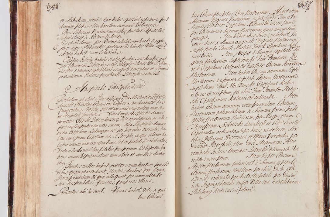 Zdjęcie nr 191 dla obiektu archiwalnego: Acta visitationum decanatuum: Wielicensis ex anno 1703, Novi Montis ex anno 1704 et Scavinensis ex anno 1704 sub generali administratione R.D. Casimiri a Łubna Łubiński, episcoi Heracleensis, suffraganei, canonici sede vacante episcopatus Cracoviensis et ducatus Severiensis, a R.D. Remigio Suszycki IUD, archidiacono Cracoviensi, custode Kielcensi, scholastico Lanciciensi, SRM secretario a.D. 1703 et 1704 expedita