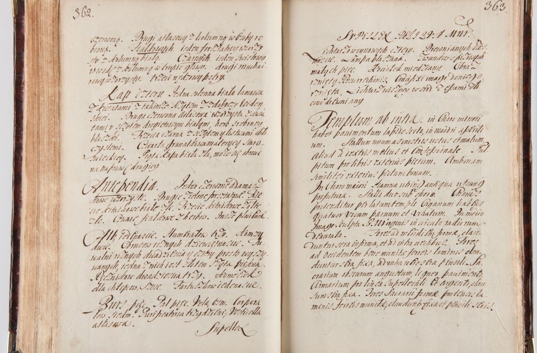 Zdjęcie nr 195 dla obiektu archiwalnego: Acta visitationum decanatuum: Wielicensis ex anno 1703, Novi Montis ex anno 1704 et Scavinensis ex anno 1704 sub generali administratione R.D. Casimiri a Łubna Łubiński, episcoi Heracleensis, suffraganei, canonici sede vacante episcopatus Cracoviensis et ducatus Severiensis, a R.D. Remigio Suszycki IUD, archidiacono Cracoviensi, custode Kielcensi, scholastico Lanciciensi, SRM secretario a.D. 1703 et 1704 expedita