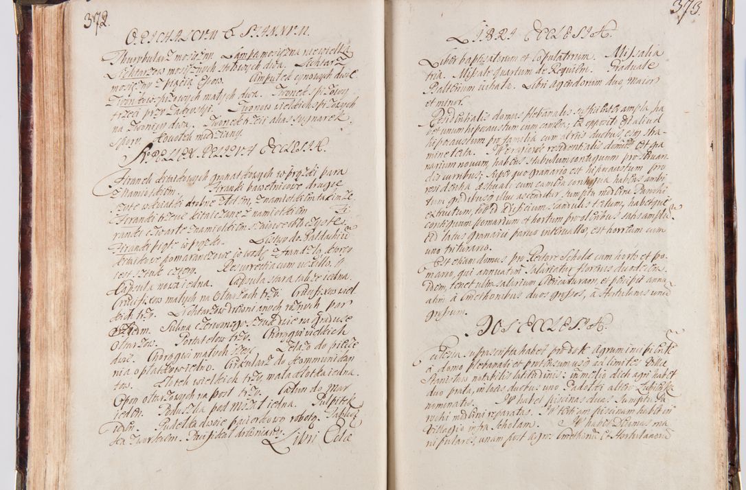 Zdjęcie nr 200 dla obiektu archiwalnego: Acta visitationum decanatuum: Wielicensis ex anno 1703, Novi Montis ex anno 1704 et Scavinensis ex anno 1704 sub generali administratione R.D. Casimiri a Łubna Łubiński, episcoi Heracleensis, suffraganei, canonici sede vacante episcopatus Cracoviensis et ducatus Severiensis, a R.D. Remigio Suszycki IUD, archidiacono Cracoviensi, custode Kielcensi, scholastico Lanciciensi, SRM secretario a.D. 1703 et 1704 expedita