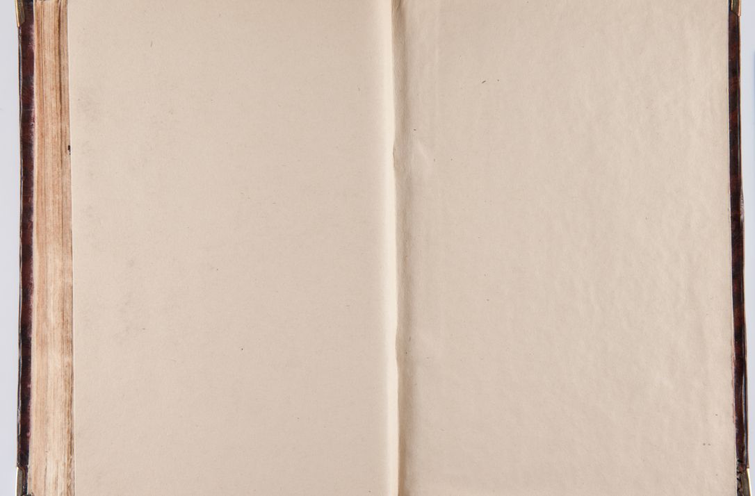 Zdjęcie nr 219 dla obiektu archiwalnego: Acta visitationum decanatuum: Wielicensis ex anno 1703, Novi Montis ex anno 1704 et Scavinensis ex anno 1704 sub generali administratione R.D. Casimiri a Łubna Łubiński, episcoi Heracleensis, suffraganei, canonici sede vacante episcopatus Cracoviensis et ducatus Severiensis, a R.D. Remigio Suszycki IUD, archidiacono Cracoviensi, custode Kielcensi, scholastico Lanciciensi, SRM secretario a.D. 1703 et 1704 expedita